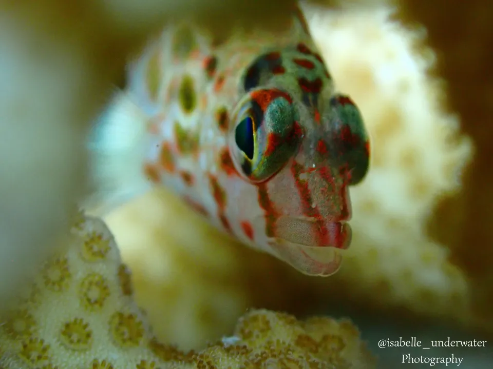 Apoyo al medio ambiente de Grupo INDI