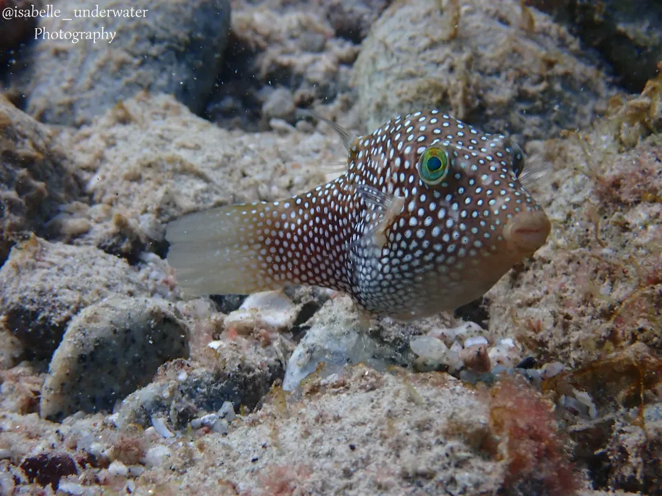 Apoyo al medio ambiente de Grupo INDI