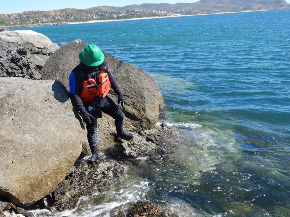 Apoyo al medio ambiente de Grupo INDI