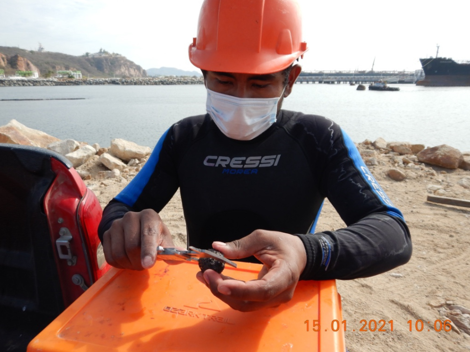 Apoyo al medio ambiente de Grupo INDI