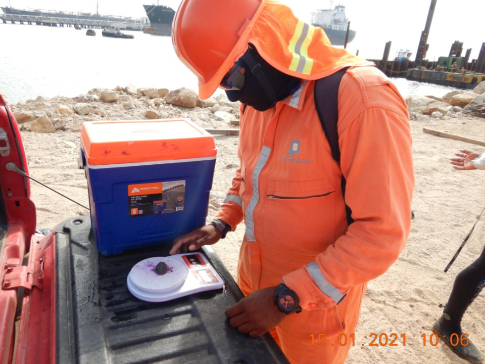 Apoyo al medio ambiente de Grupo INDI